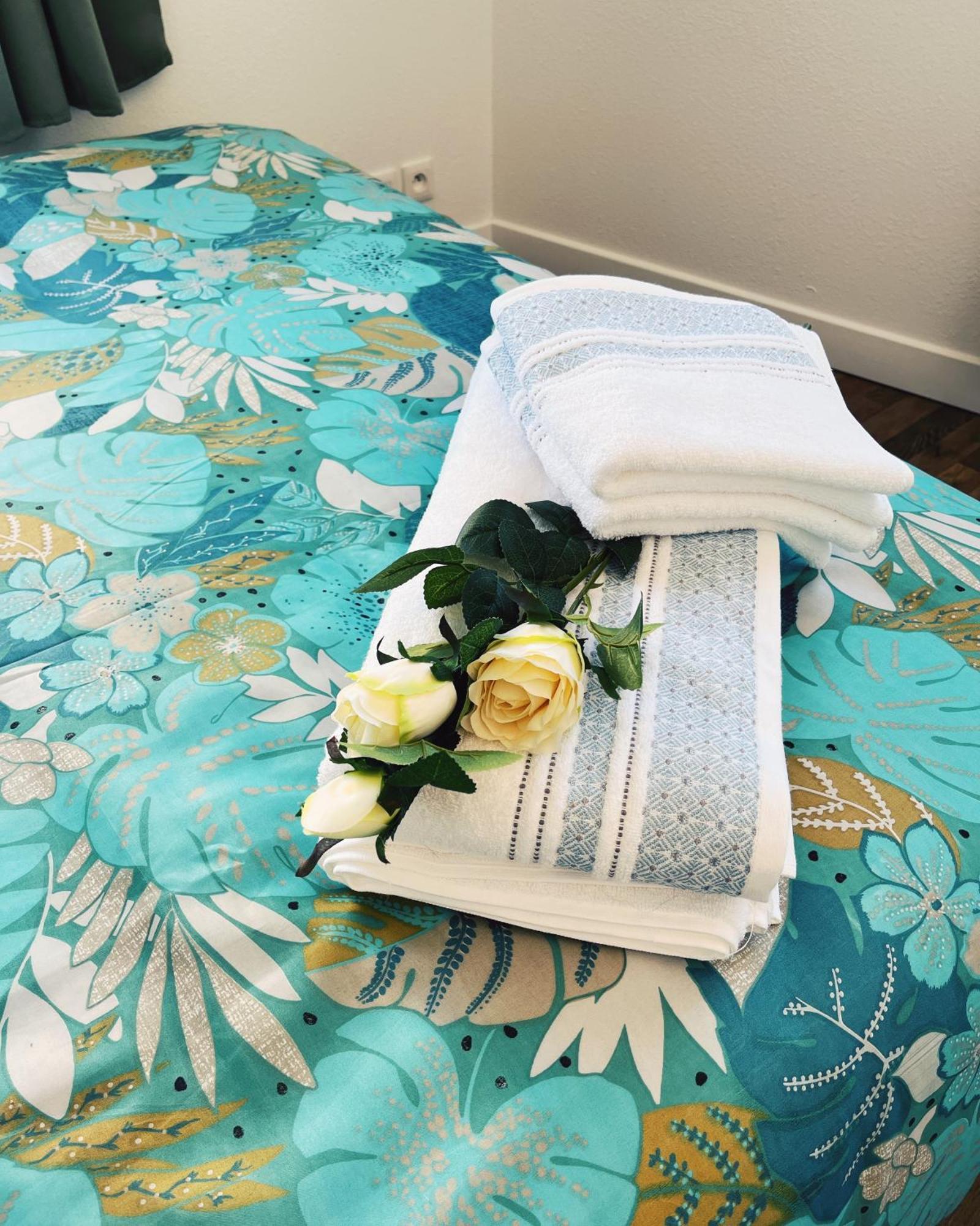 Appartement Chez Rose นาร์บอนน์ ภายนอก รูปภาพ